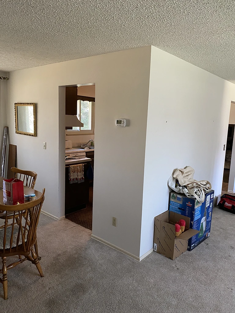 A view of the wall that needed to be removed.